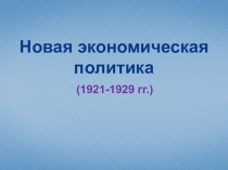 Новая экономическая политика