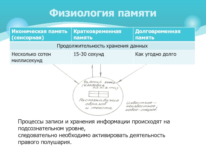 Память записи. Классификация памяти физиология. Физиологическая основа процесса памяти. Объем смысловой памяти физиология. Память физиологические основы памяти.