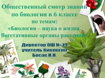 Презентация урока- общественного смотра знаний по биологии в 6 классе.