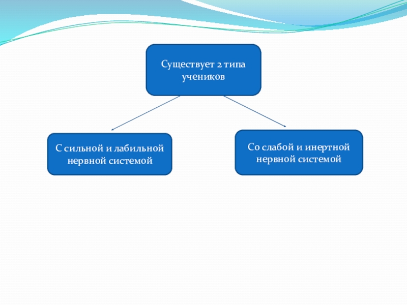 Слабая нервная система. Лабильная нервная система. Приемы облегчающие деятельность детей с инертной нервной системой.