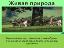 Презентация к уроку биологии в 6 классе Основные царства живой природы