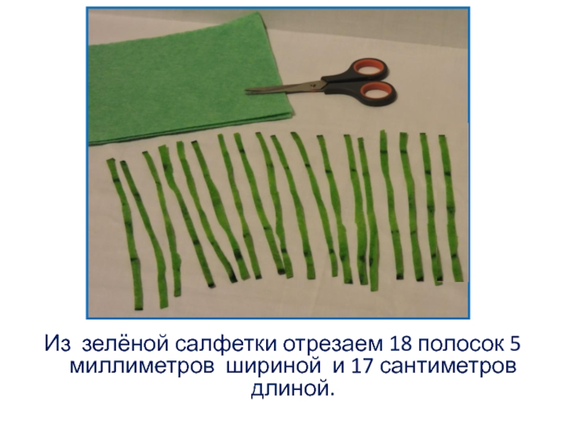 Из зелёной салфетки отрезаем 18 полосок 5 миллиметров шириной и 17 сантиметров длиной.
