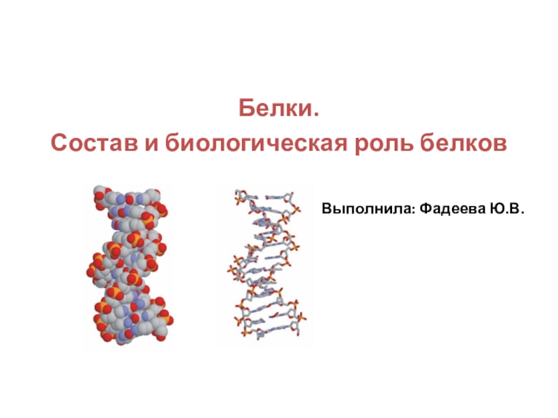 Белки состав и роль