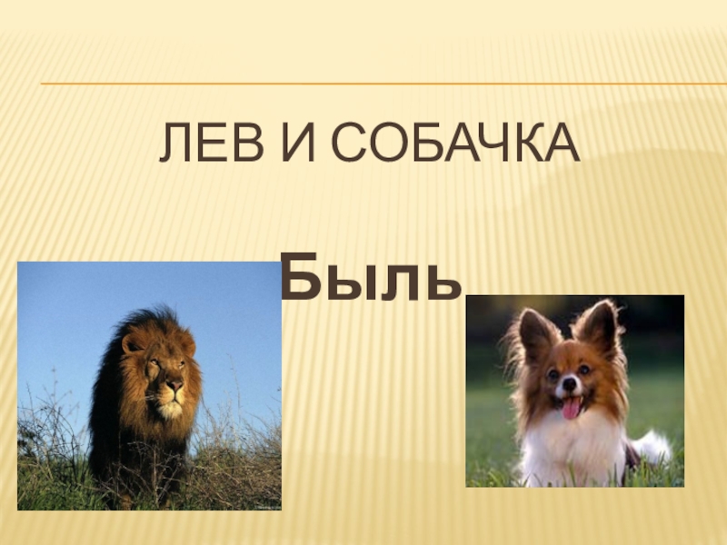 Собака 3 класс