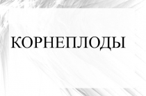 Презентация Корнеплоды предмет Физиология питания с основами товароведения продовольственных товаров профессия повар, кондитер