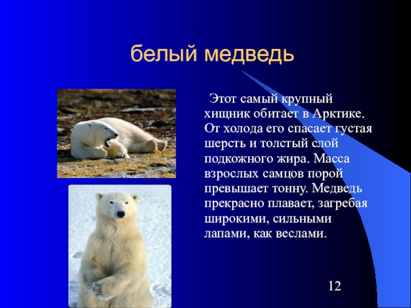 Окружающий мир 4 класс зона арктических пустынь презентация 4 класс