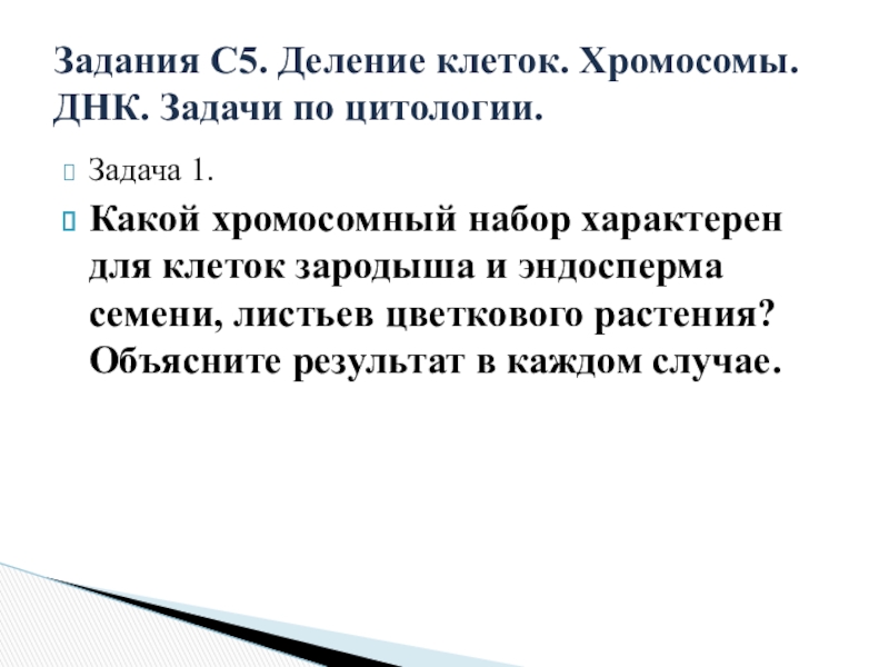 Митохондриальная ева и y хромосомный адам презентация