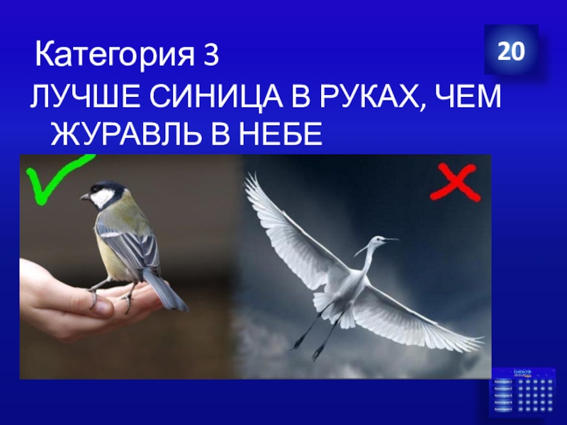 Синица в руках лучше журавля в небе. Лучше синица в руках чем журавль в небе. Лучше журавль в небе чем синица. Лучше синица в руках чем журавль в небе смысл.