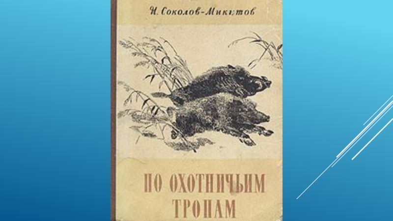 Презентация соколов микитов радуга