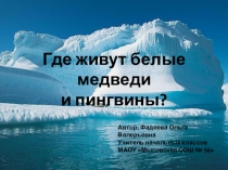 Презентация по окружающему миру