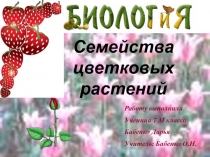 Презентация по биологии: Семейства цветковых растений (7 класс)