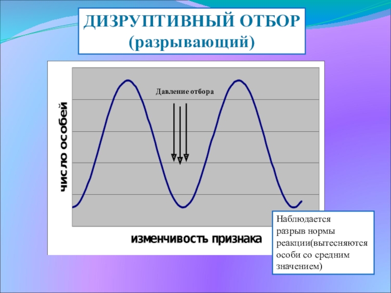 Направлен на сохранение особей со средними значениями признака диаграмма