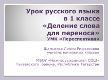 Презентация по русскому языку на тему Перенос слов (1 класс)