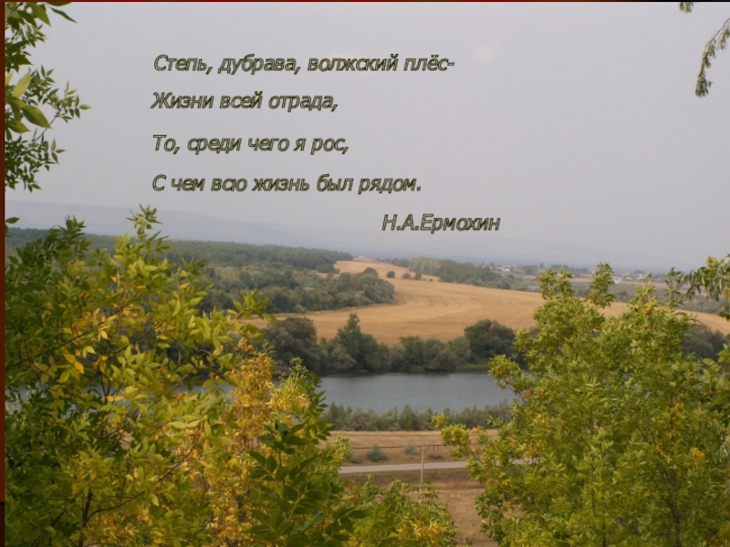 Хохлома волжский плес текст. Стихи про дубраву. Дубрава стихотворение. Стихи о Плесе. Среди Дубравы.