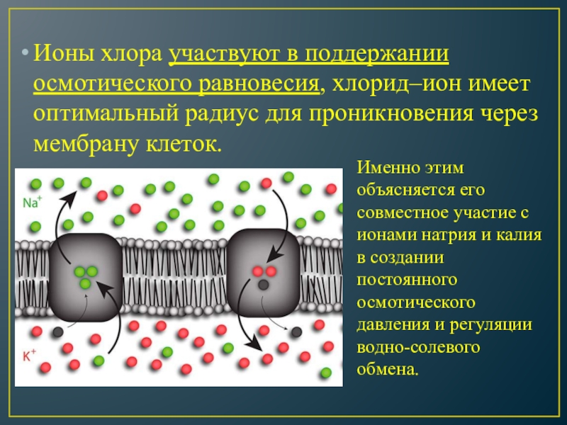 Влияние заряда на способность лс проникать через клеточные мембраны.