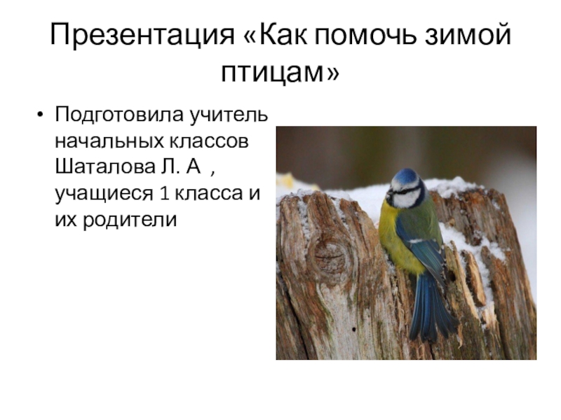 Презентация Презентация по окружающему миру Как помочь птицам зимой