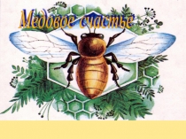 Презентация по химии Углеводы.Медовое счастье