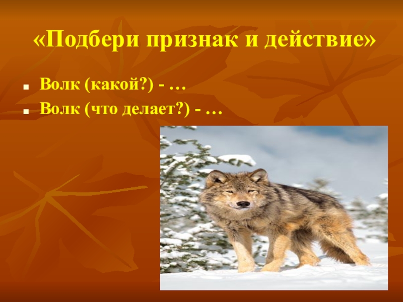 волк санитар леса. сведения о волке для детей. памятка при встрече с волком. 631 выполни действие по схеме. какое действие волк должен выполнить.