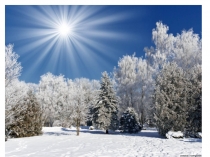 Презентация к уроку по теме: Буква В(1 класс)