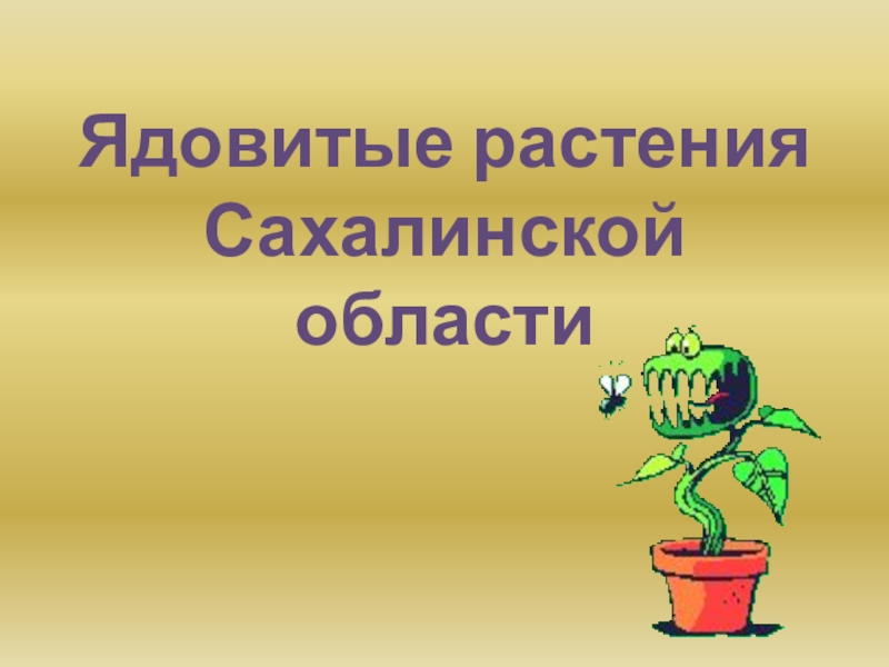 Презентация Презентация по краеведению по теме: Ядовитые растения Сахалинской области