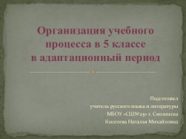 Организация учебного процесса в 5 классе в адаптационный период