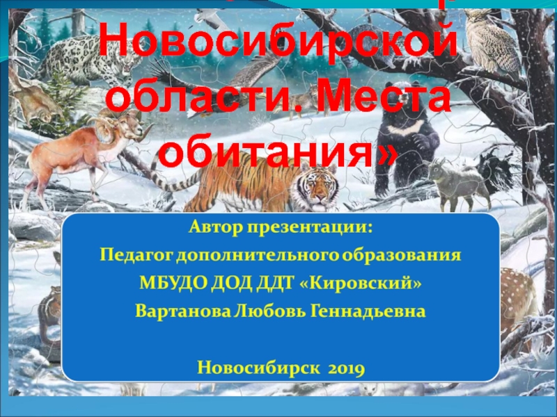 Презентация Презентация Животные Новосибирской области. Места обитания