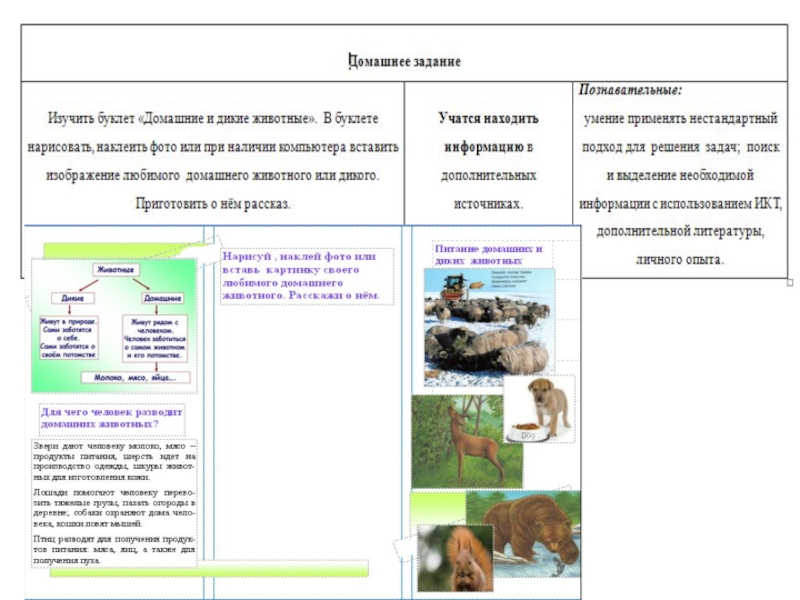 Урок 2 класс дикие и домашние животные. Буклет про домашних животных. Буклет Дикие животные. Буклет на тему Дикие животные. Буклет Дикие и домашние животные.