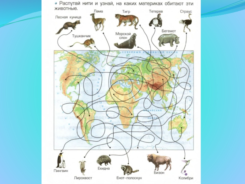 Карта 2 класс окружающий мир