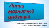 Презентация по физике на тему: Линии магнитной индукции