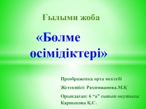 Ғылыми жоба Бөлме өсімдіктері