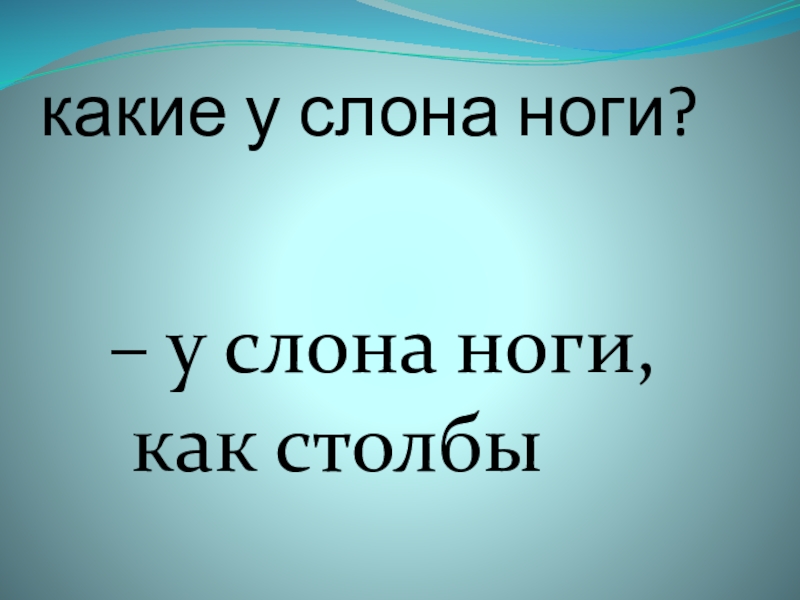 какие у слона ноги? – у слона ноги, как столбы