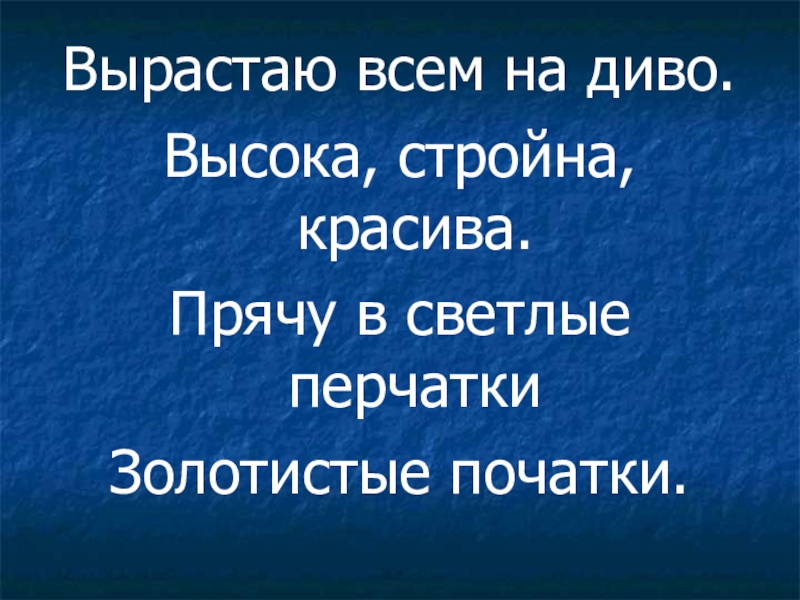 Растите здоровья. Хороша всем на диво.