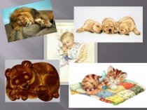 Презентация к уроку Зачем мы спим ночью