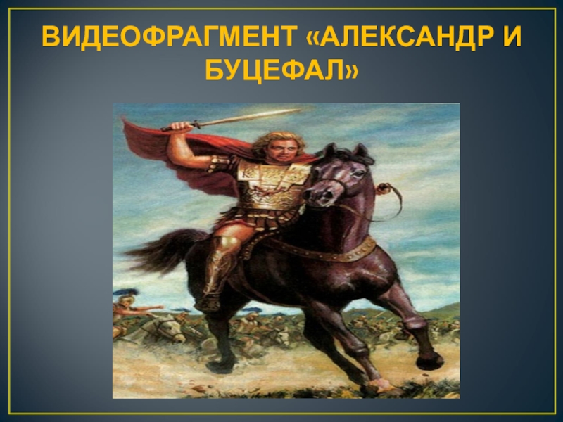 Буцефал текст. Александр Македонский и Буцефал. Буцефал характер. Буцефал картинки. Сообщение про Буцефала.