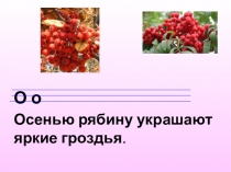 Презентация по русскому языку 2 класс Имя существительное.