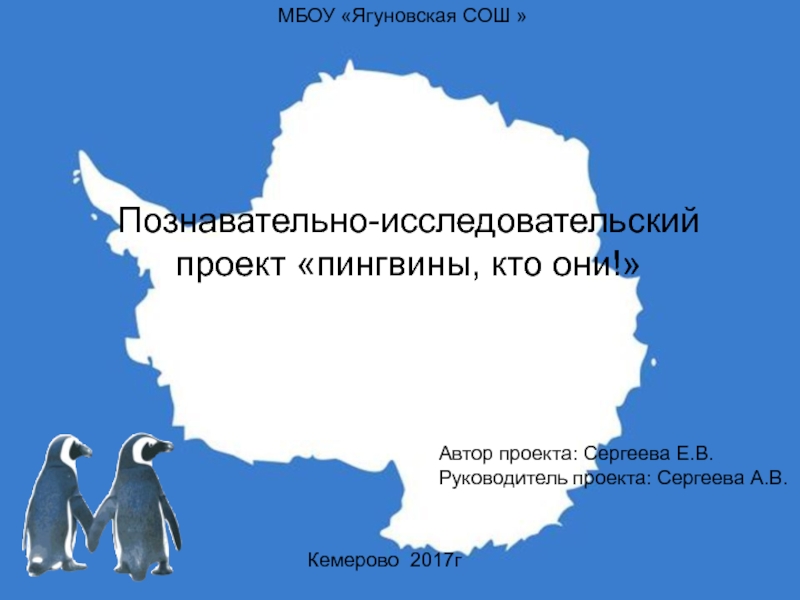 Презентация Детская проектная работа Пингвины. кто они!?