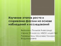 Исследовательская работа Изучение этапов роста и созревания фасоли