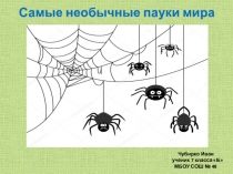 Презентация  Самые необычные пауки мира.