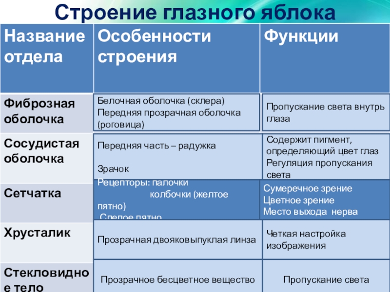 Почвенно-биоклиматический пояс. Поражение периартикулярных тканей. Почвенно биоклиматические зоны. Суббореальный почвенно биоклиматический пояс.