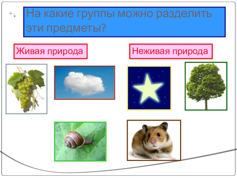 Классы объектов природы. Энциклопедия живой и неживой природы. Страны объекты живой природы. Страны объекты неживой природы и живой природы. Объекты живой и неживой природы по странам.