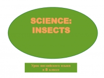 Презентация по английскому языку Насекомые
