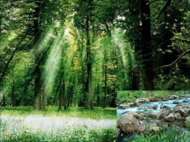 Презентация к уроку по математике с использованием здоровьесберегающих технологий Натуральные числа