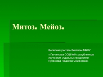 Презентация по биологии Митоз и мейоз