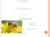 Презентация проектачем полезен мёд