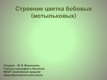 Презентация по биологии лабораторная работа Строение цветка бобовых