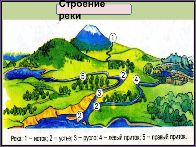 Окружающий мир 4 класс схема реки