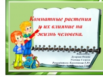 Презентация к исследовательской работе влияние комнатных растений