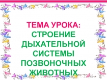 Строение дыхтельной системы позвоночных животных