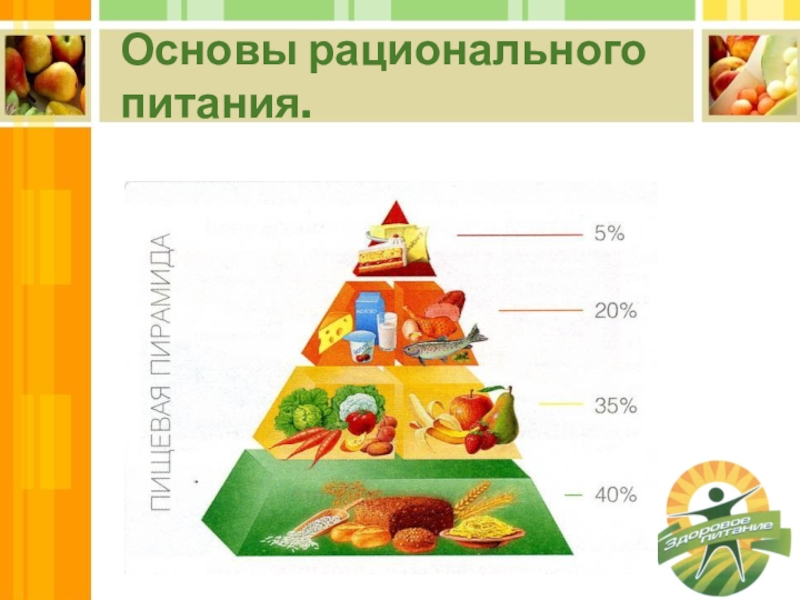 Основные рационального. Основы рационального питания. Основы рационального здорового питания. Основы рационального питания детей. Принципы рационального питания схема.