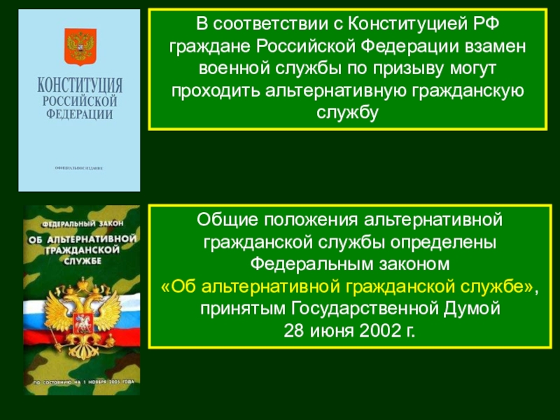 Проект на тему альтернативная гражданская служба